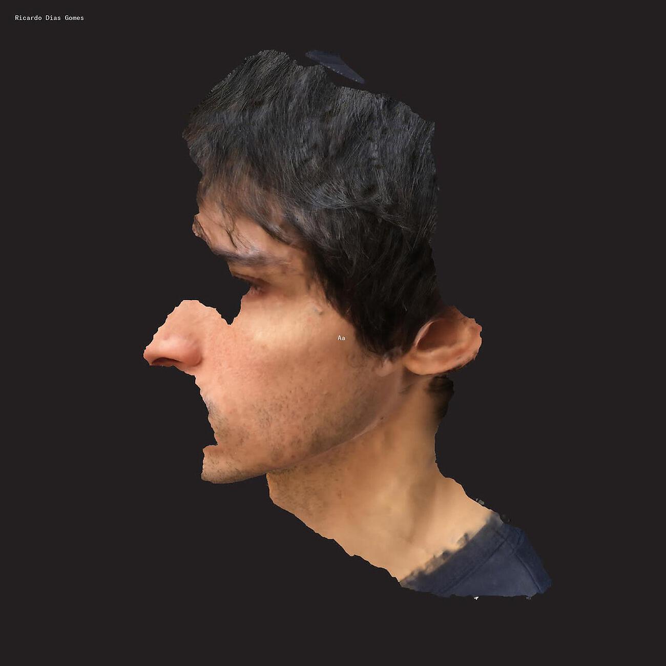 Ricardo Dias Gomes - Tela Parada