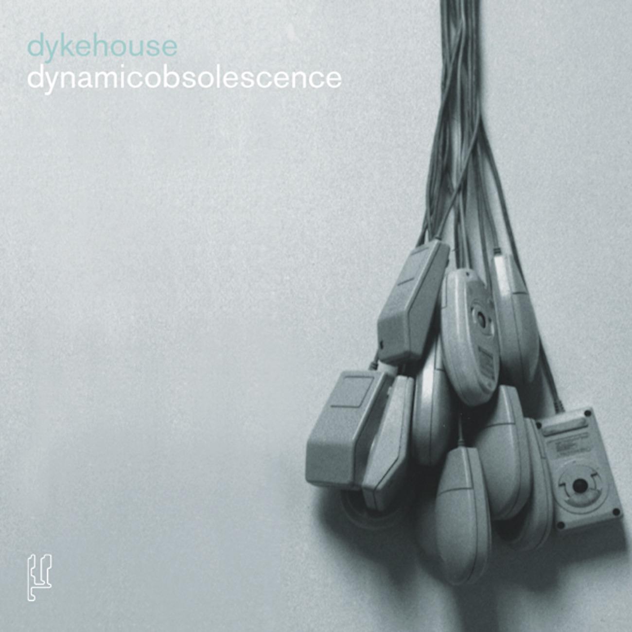 Постер альбома Dynamic Obsolescence