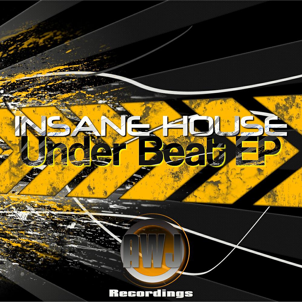 Insane House - Losing Control (Original Mix)