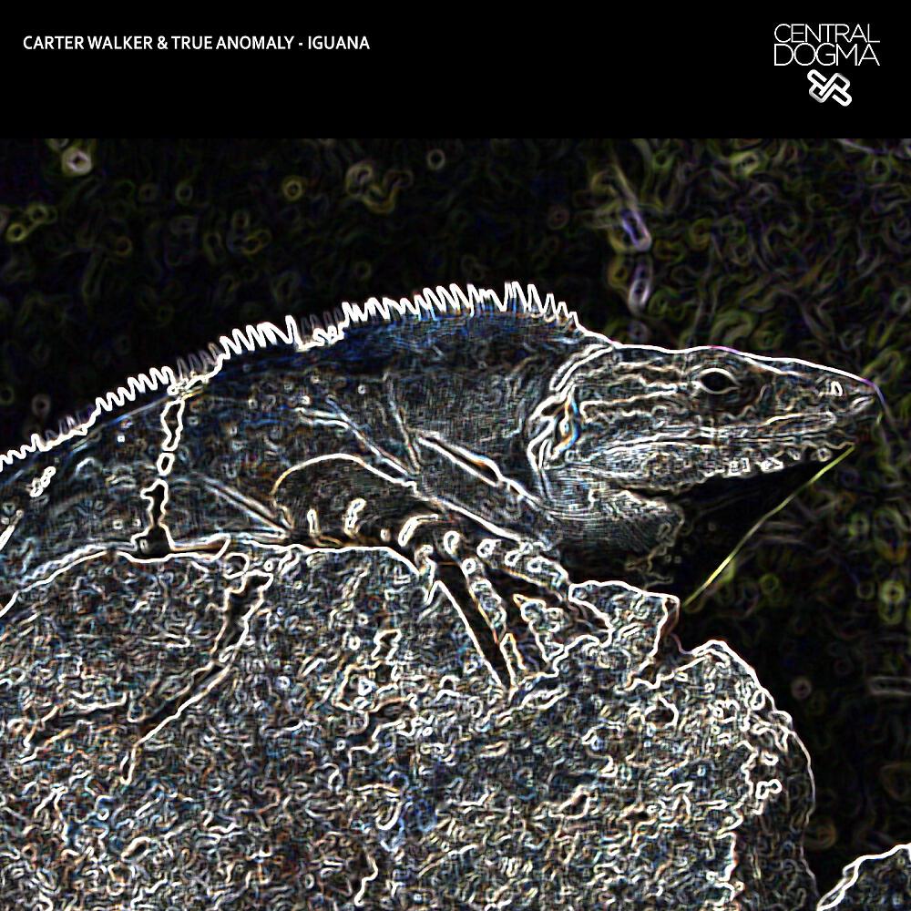 Carter Walker - Iguana (Original Mix)