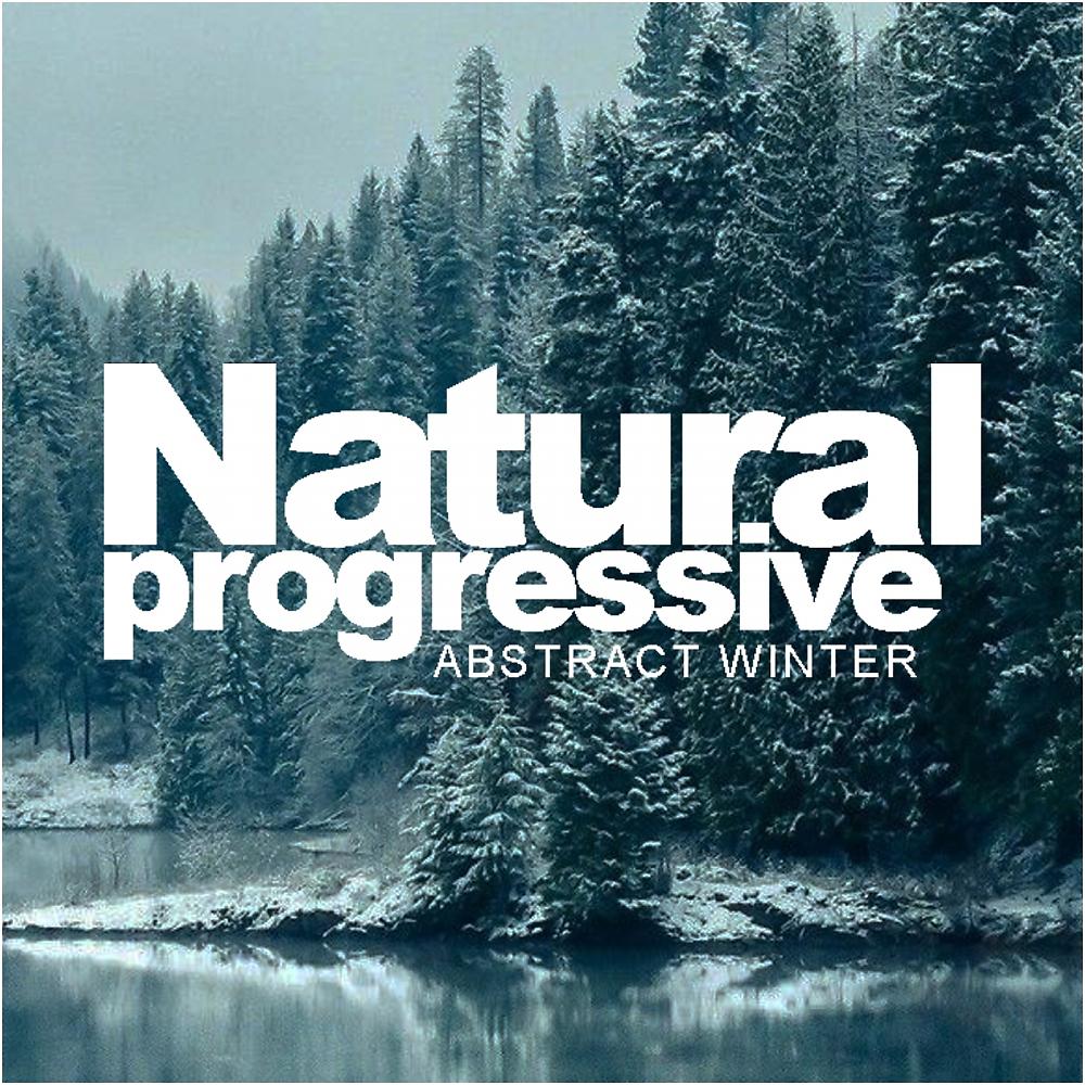 Постер альбома Natural Progressive: Abstract Winter