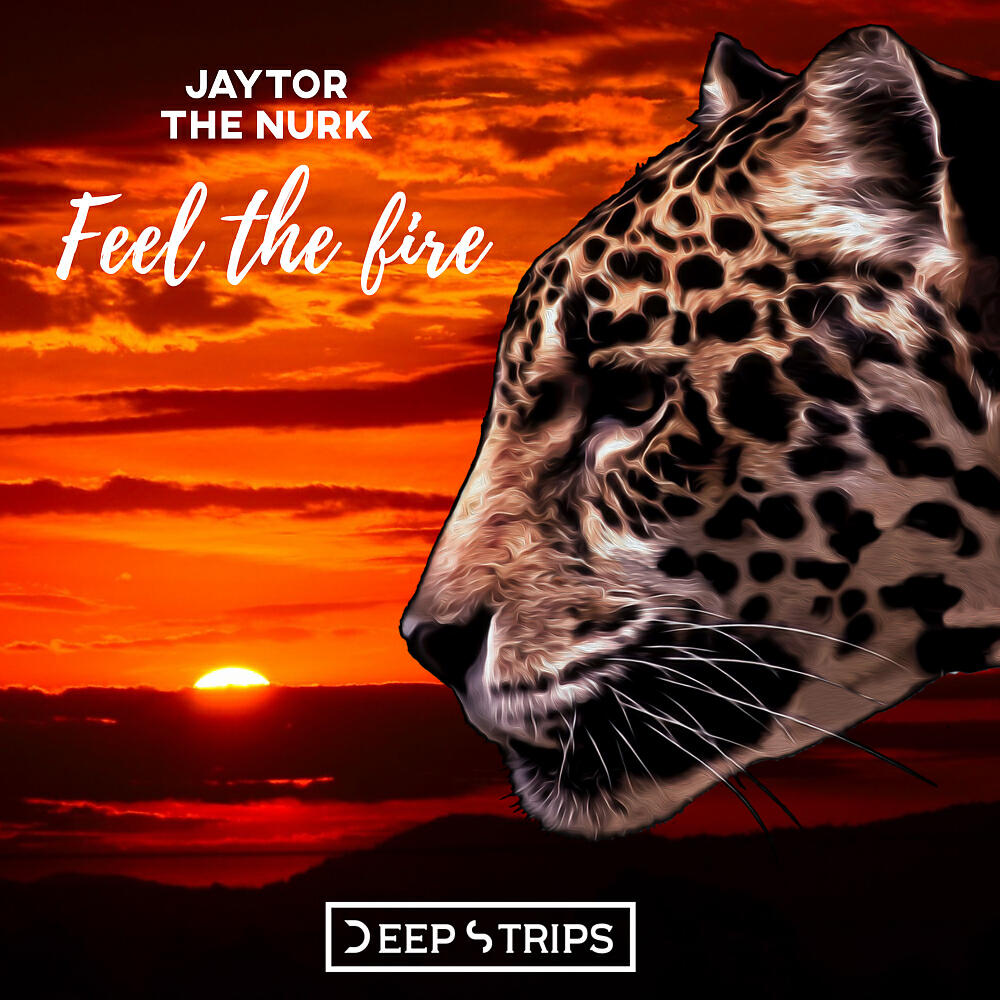 The Nurk - Feel The Fire (Fabiano Alves Remix)