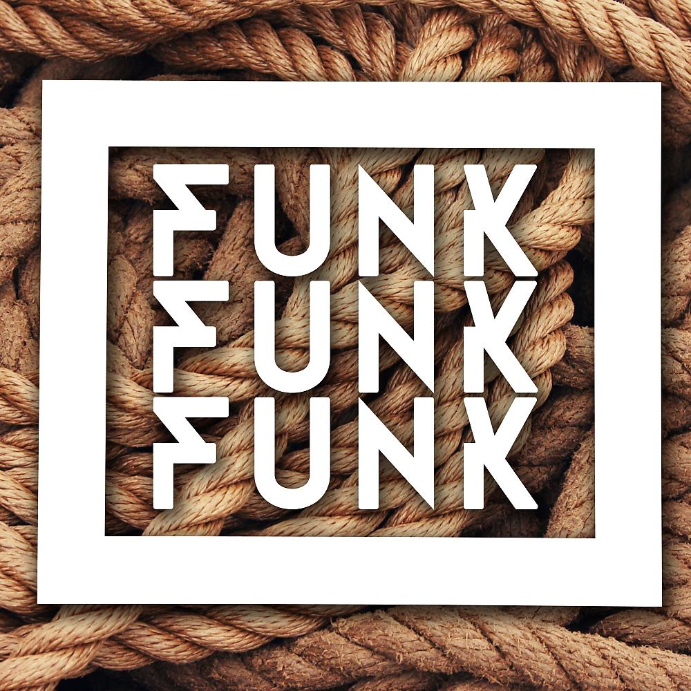 Постер альбома Funk Funk Funk
