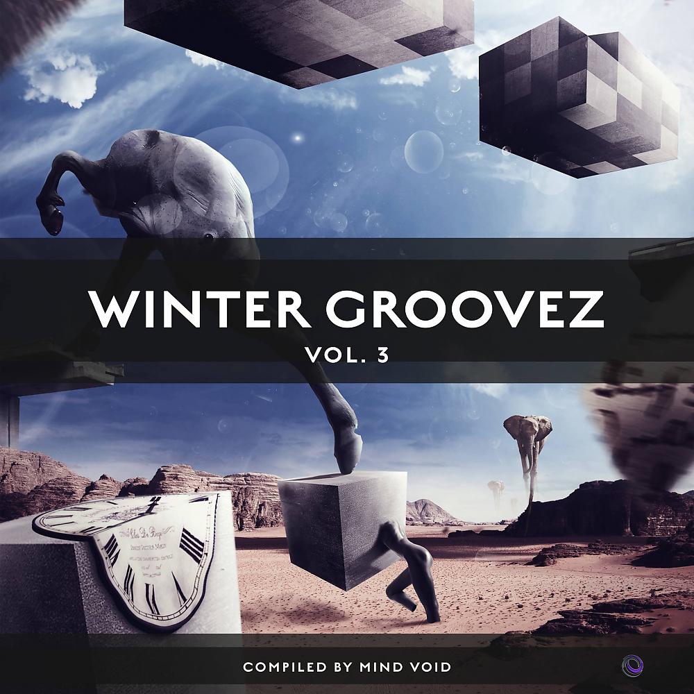Постер альбома Winter Groovez, Vol. 3 (Compiled by Mind Void)