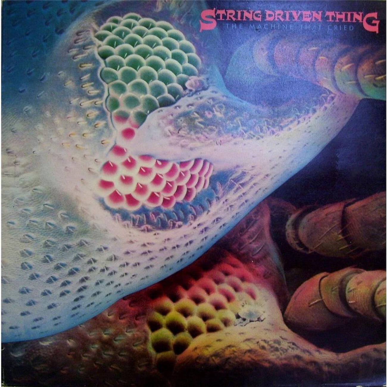 String Driven Thing - If Only The Good (Bonus Archive Track)
