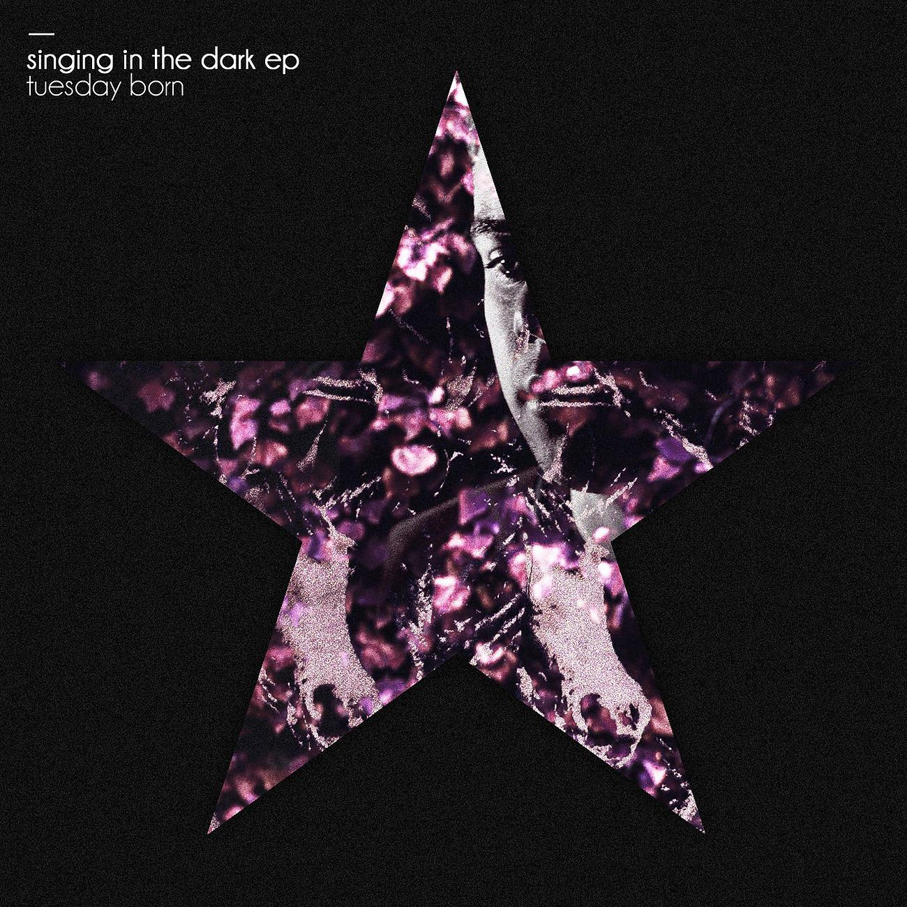 Постер альбома Singing In The Dark EP