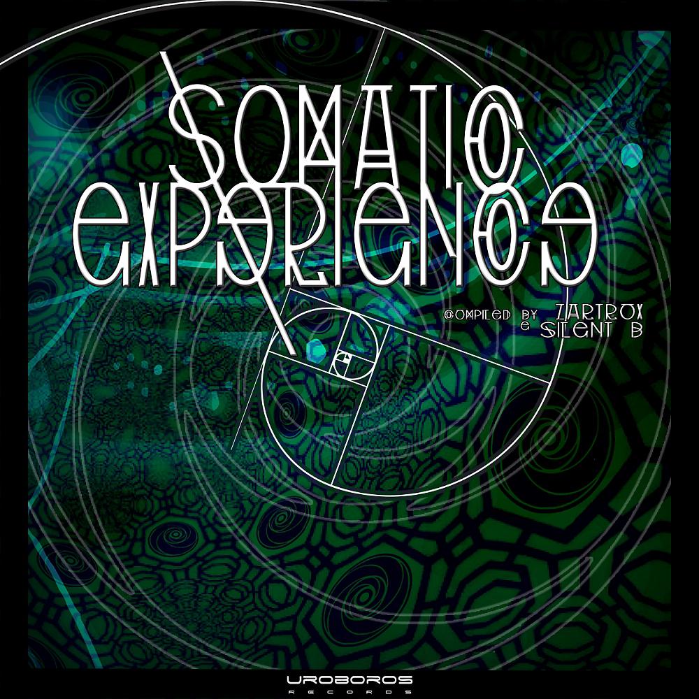 Постер альбома Somatic Experience