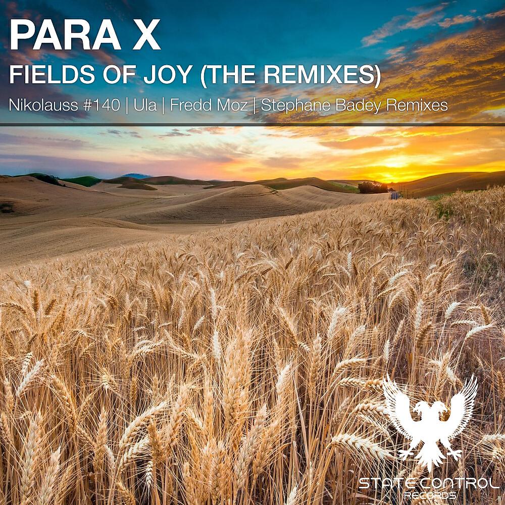 Para X - Fields Of Joy (Nikolauss #140 Remix)