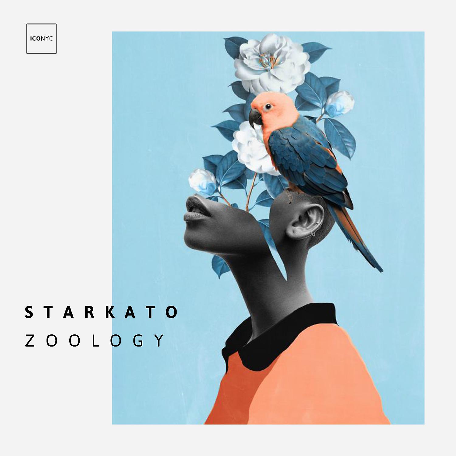 Постер альбома Zoology
