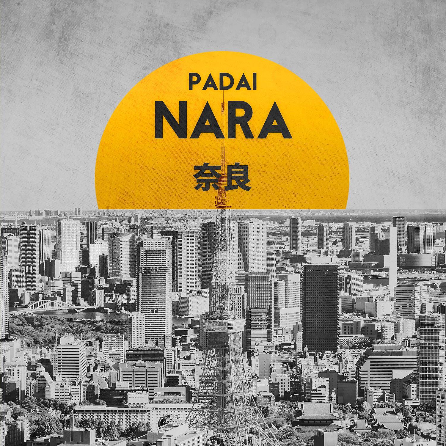 Постер альбома Nara