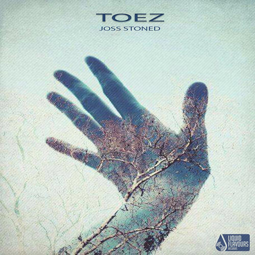 Toez - Honolulu Baby