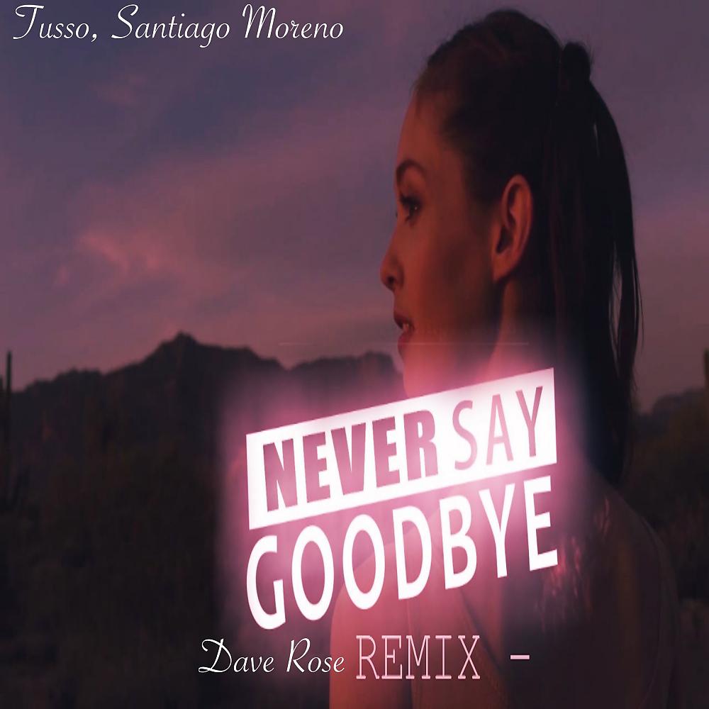 Постер альбома Never Say Goodbye (Dave Rose Remix)