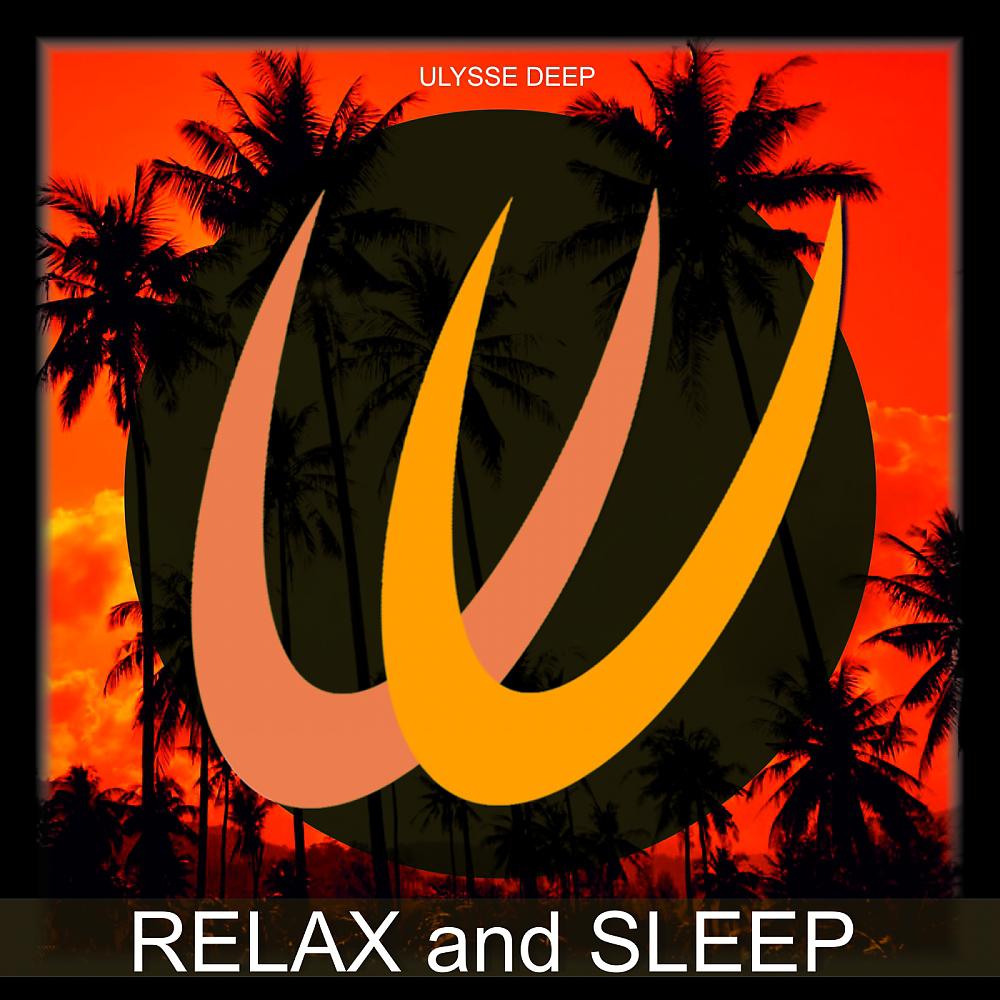 Постер альбома RELAX and SLEEP
