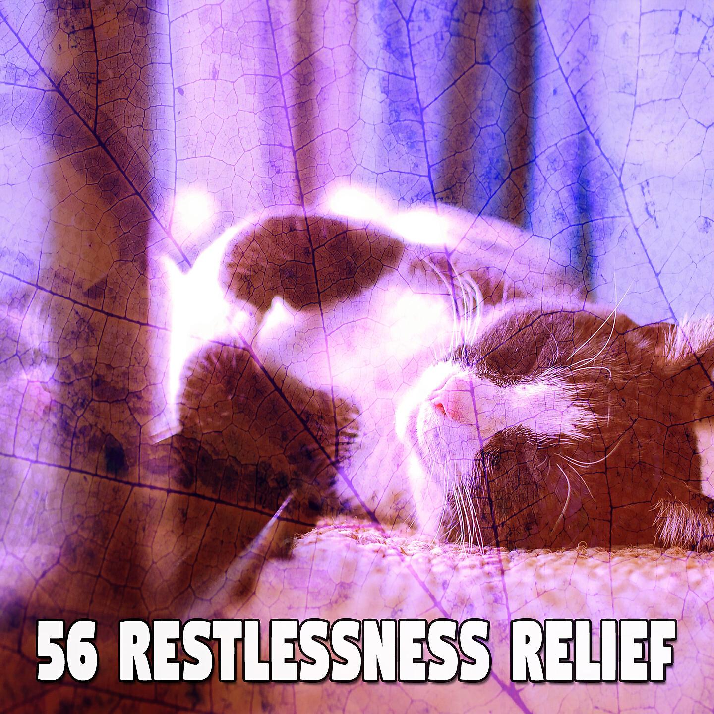 Best Relaxing SPA Music - Restorative Slumber