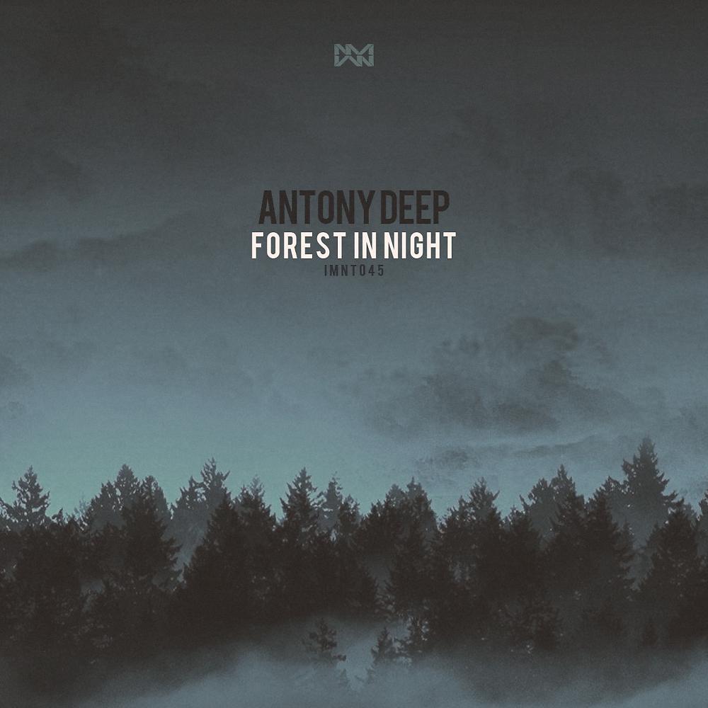 Постер альбома Forest In Night