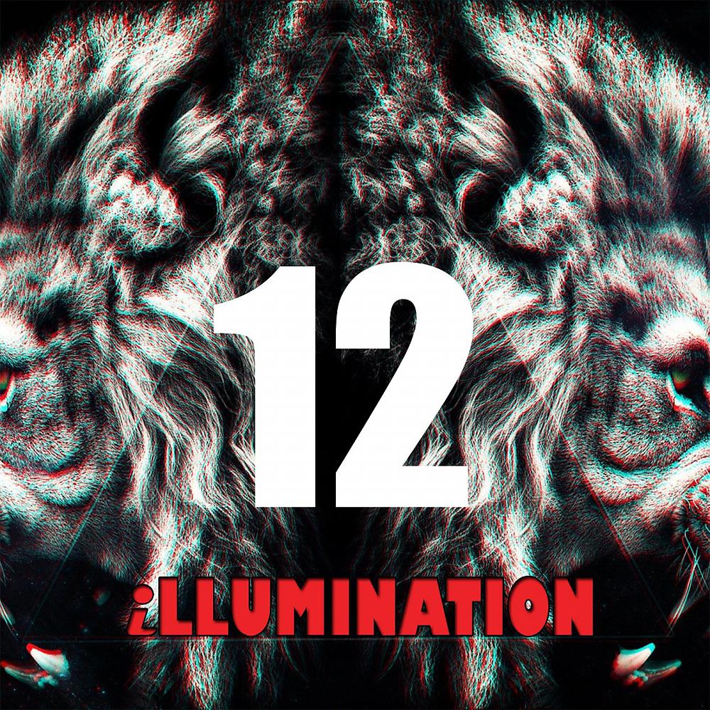 Постер альбома Illumination Music, Vol. 12.