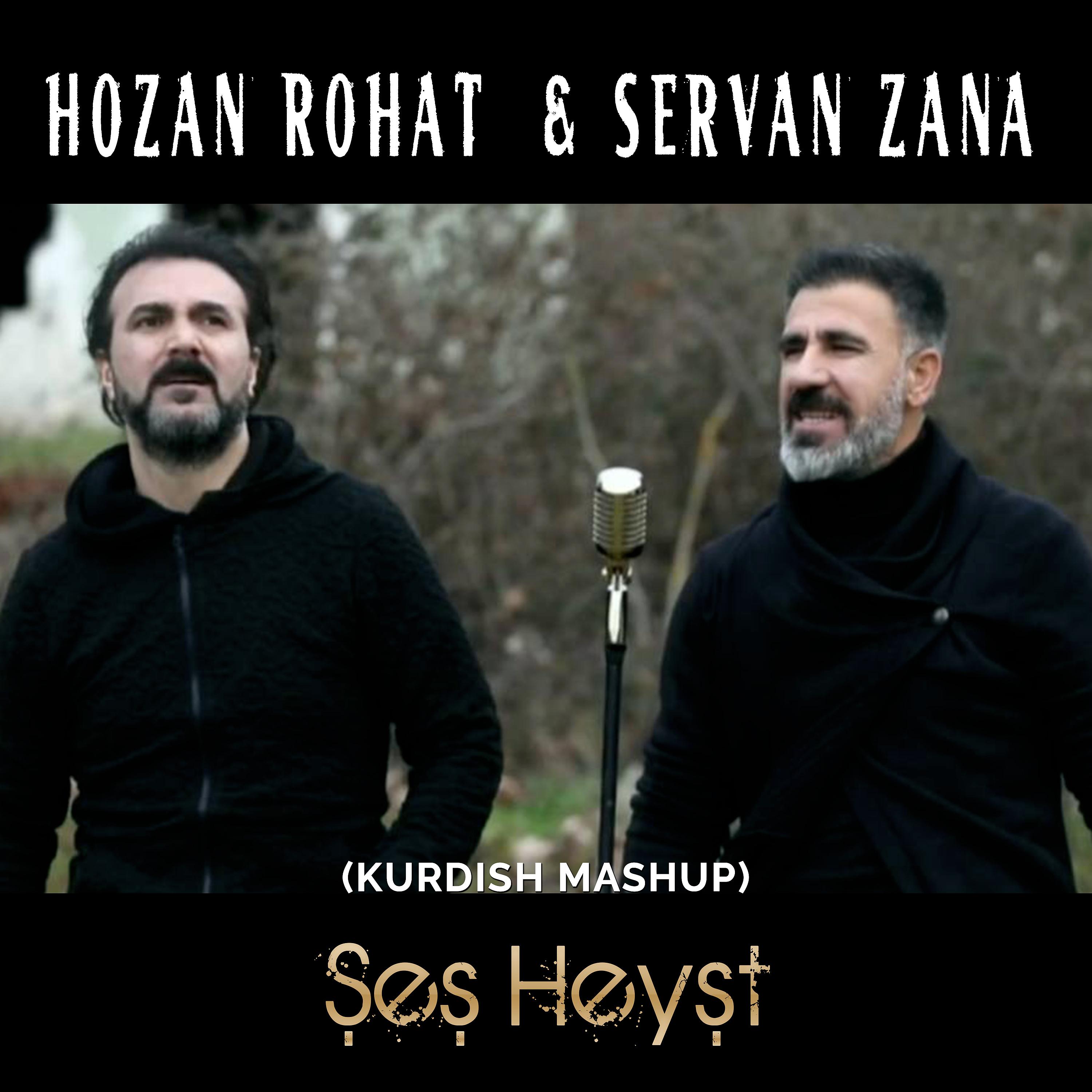 Постер альбома Şeş Heyşt (Kurdish Mashup)