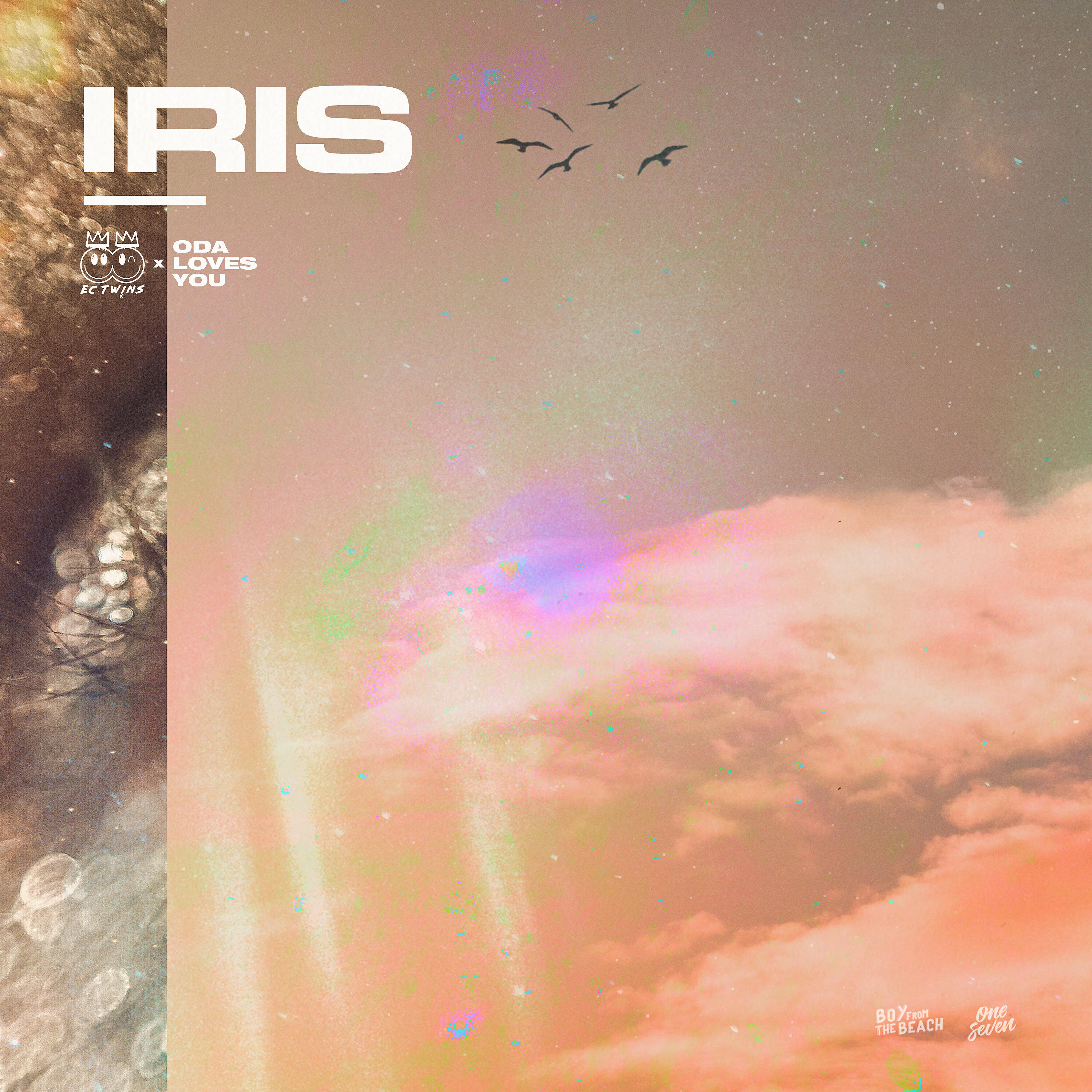 EC Twins - IRIS