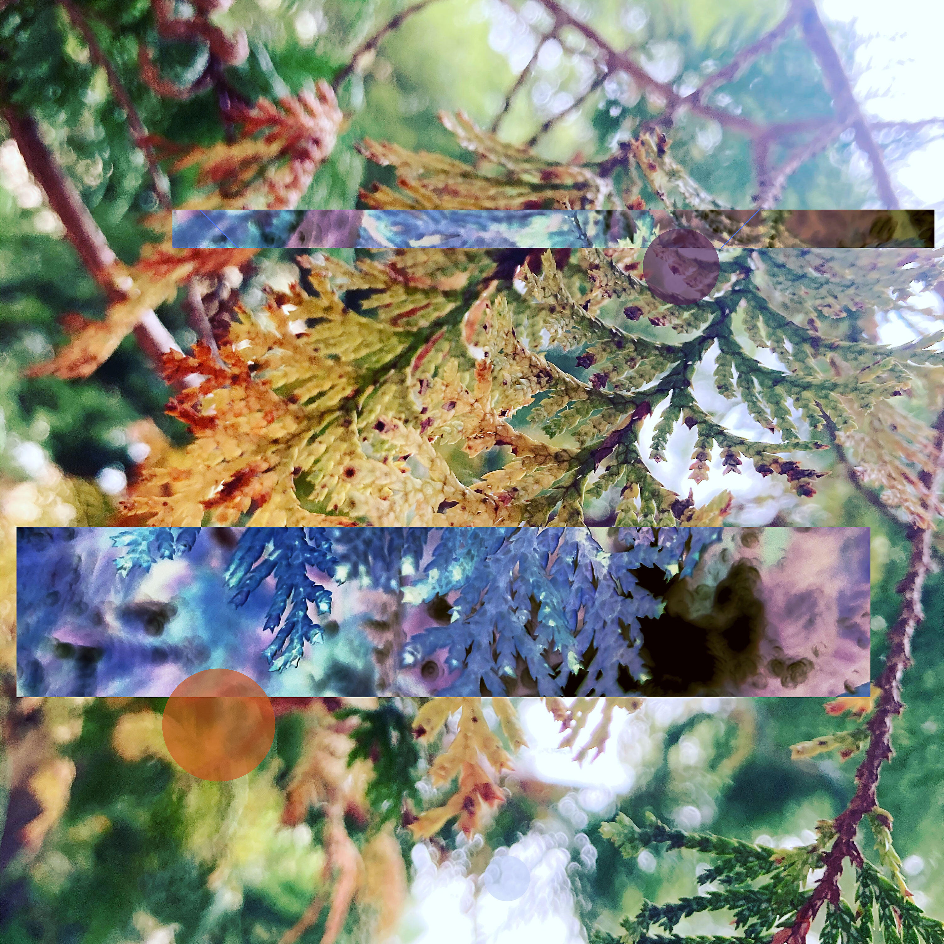Toshi - Citrus Air (Binaural)
