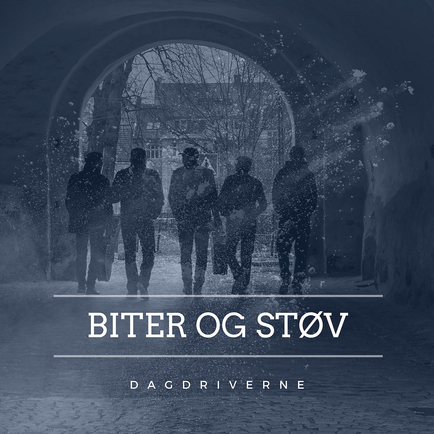 Постер альбома Biter og støv