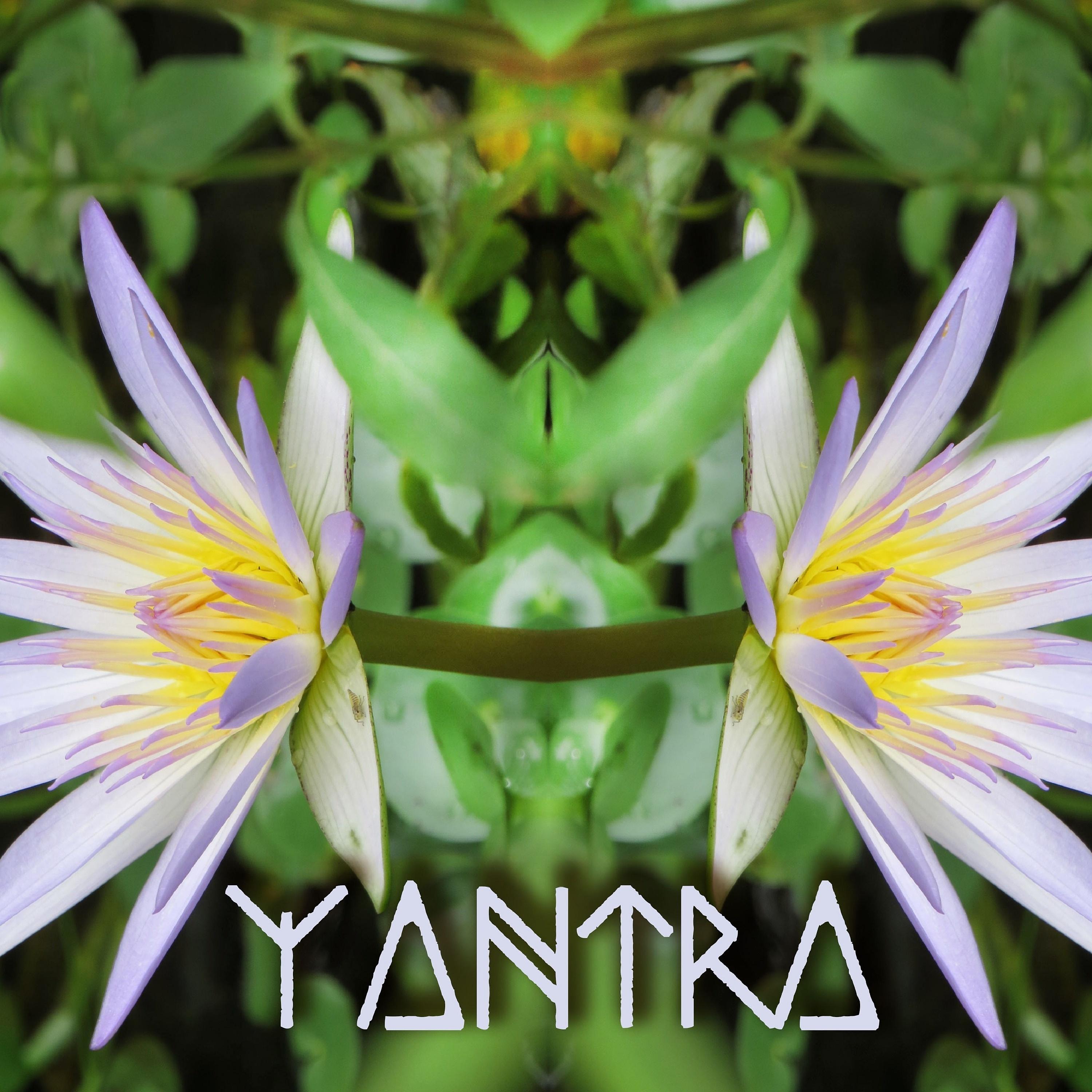 Постер альбома Yantra