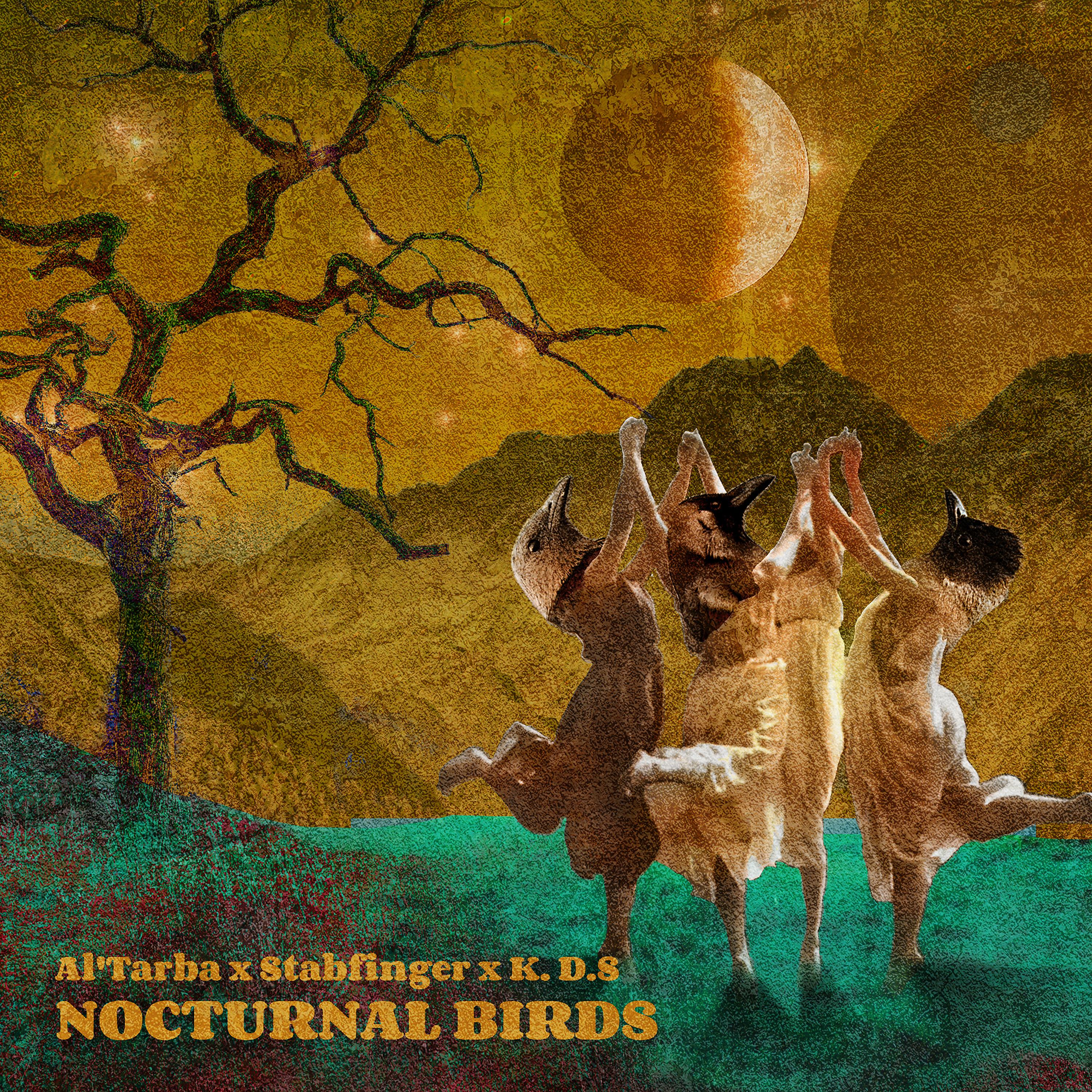Постер альбома Nocturnal Birds (Cdc10) (Cdc10)
