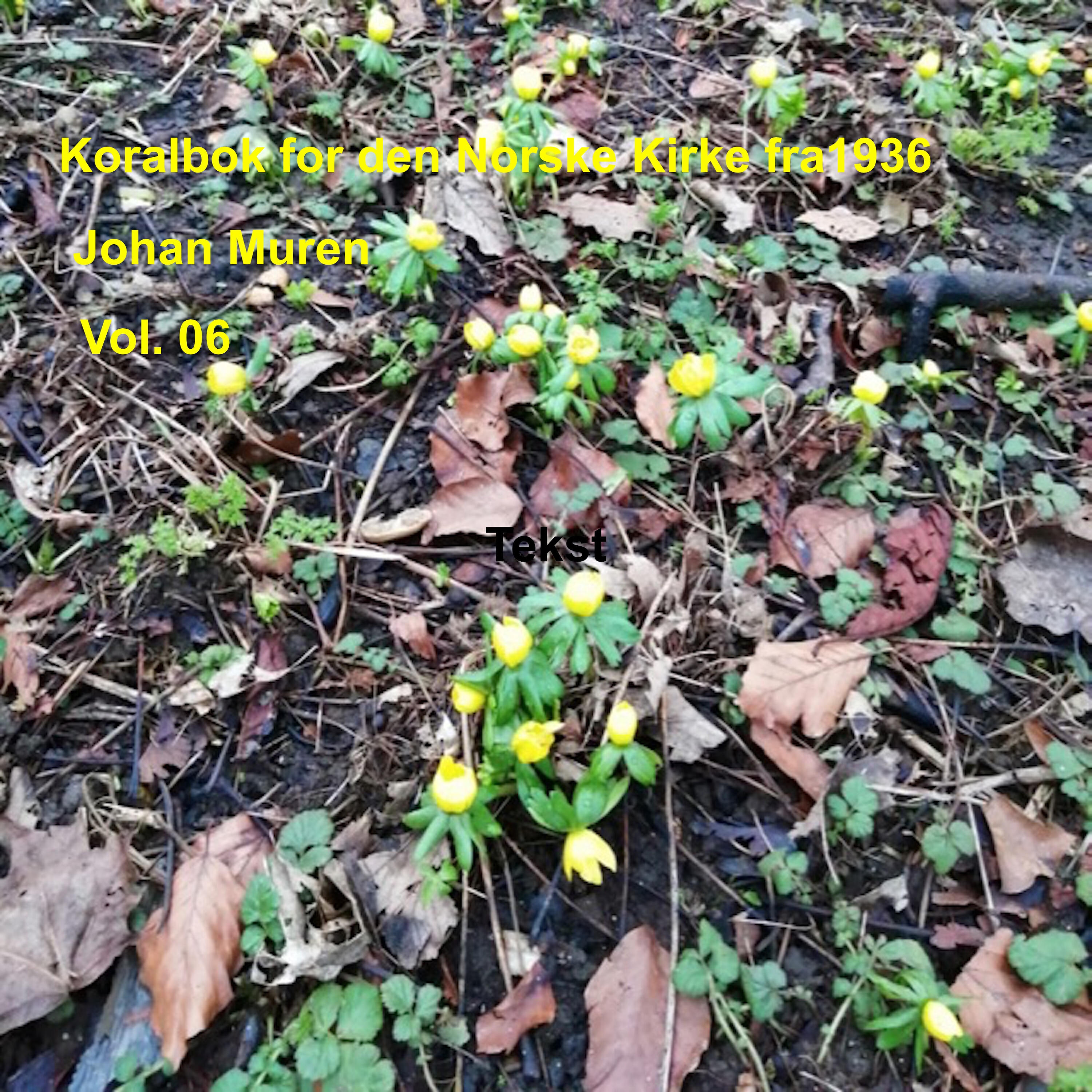 Johan Muren - Gud, sign vår konge god