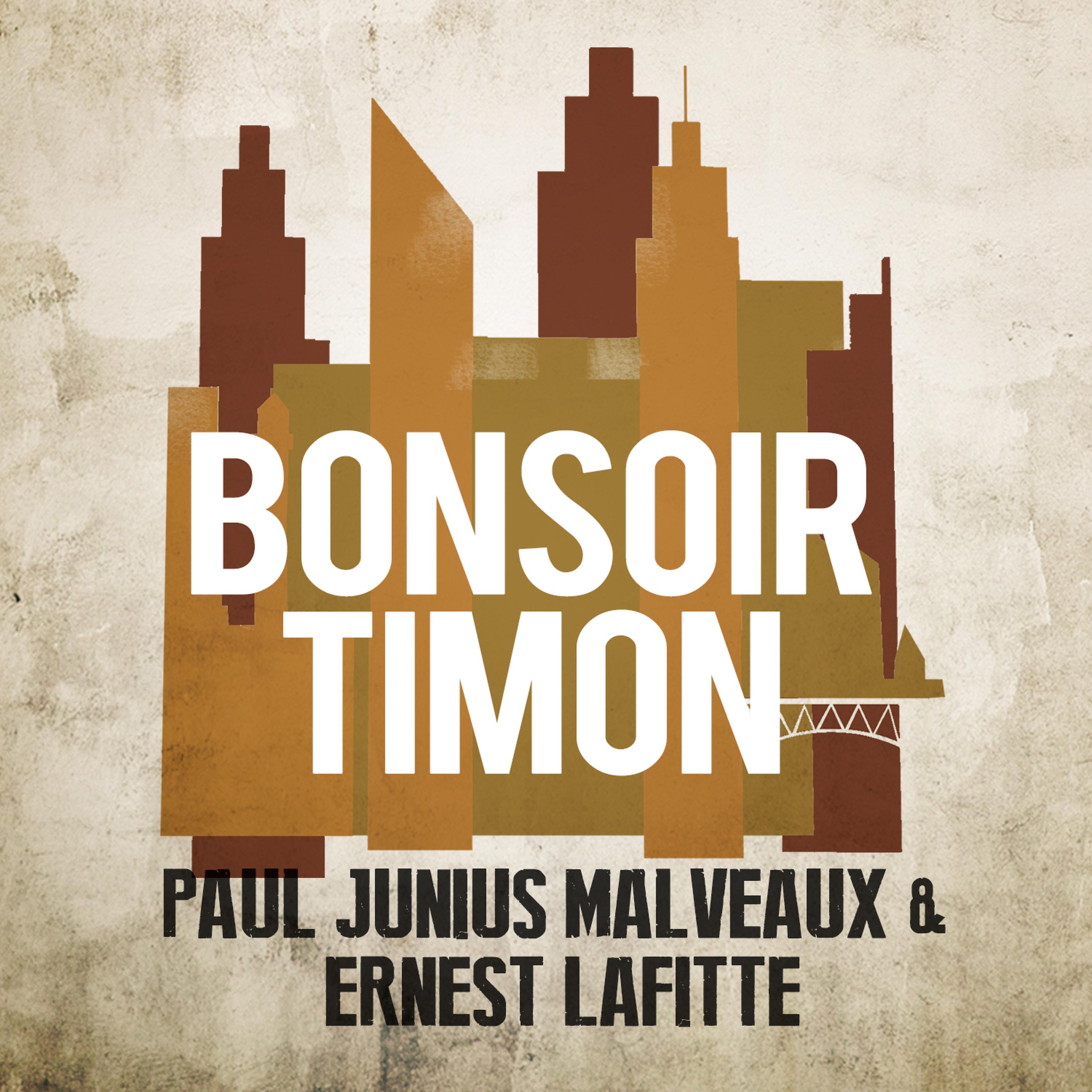 Постер альбома Bonsoir Timon