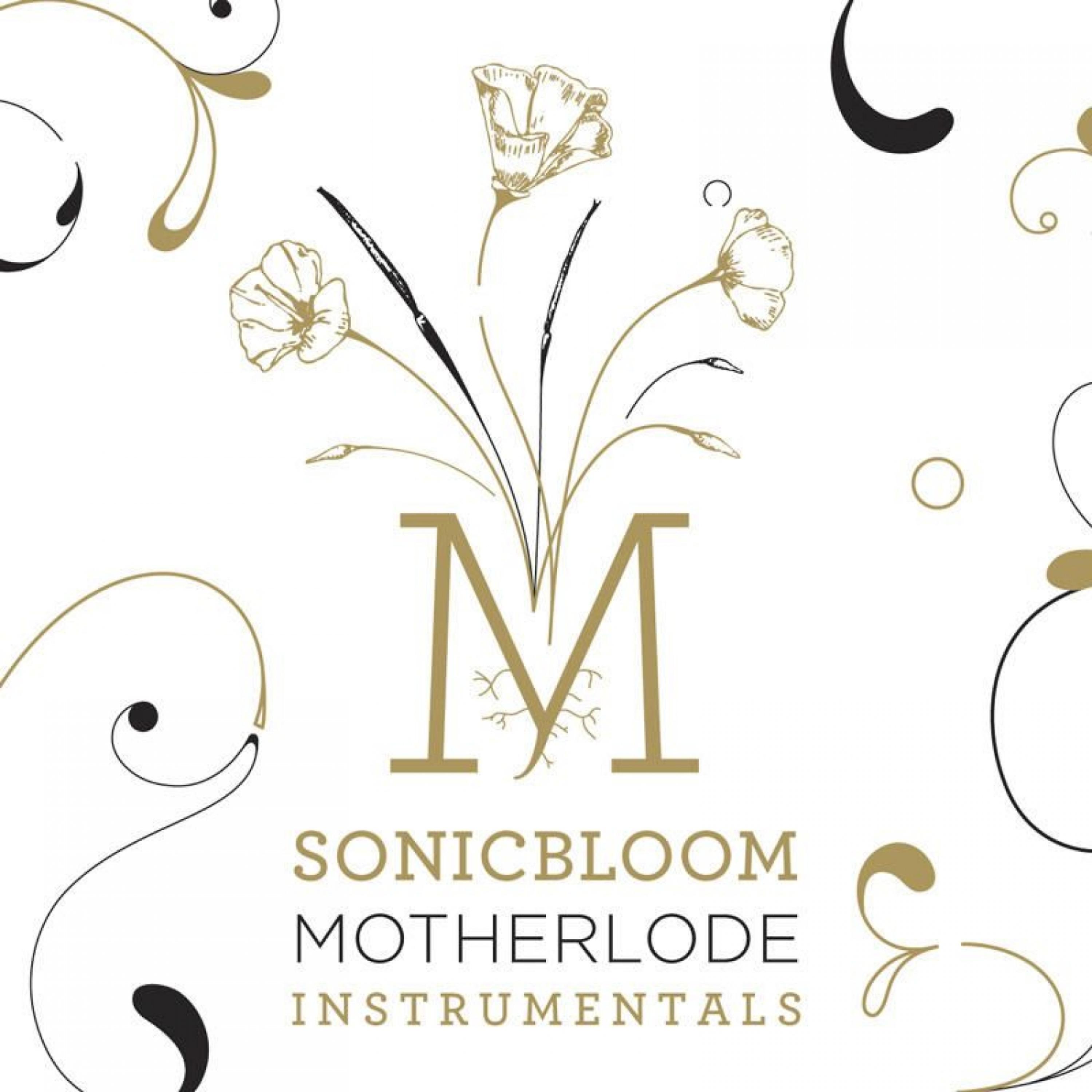 Постер альбома Motherlode Instrumentals