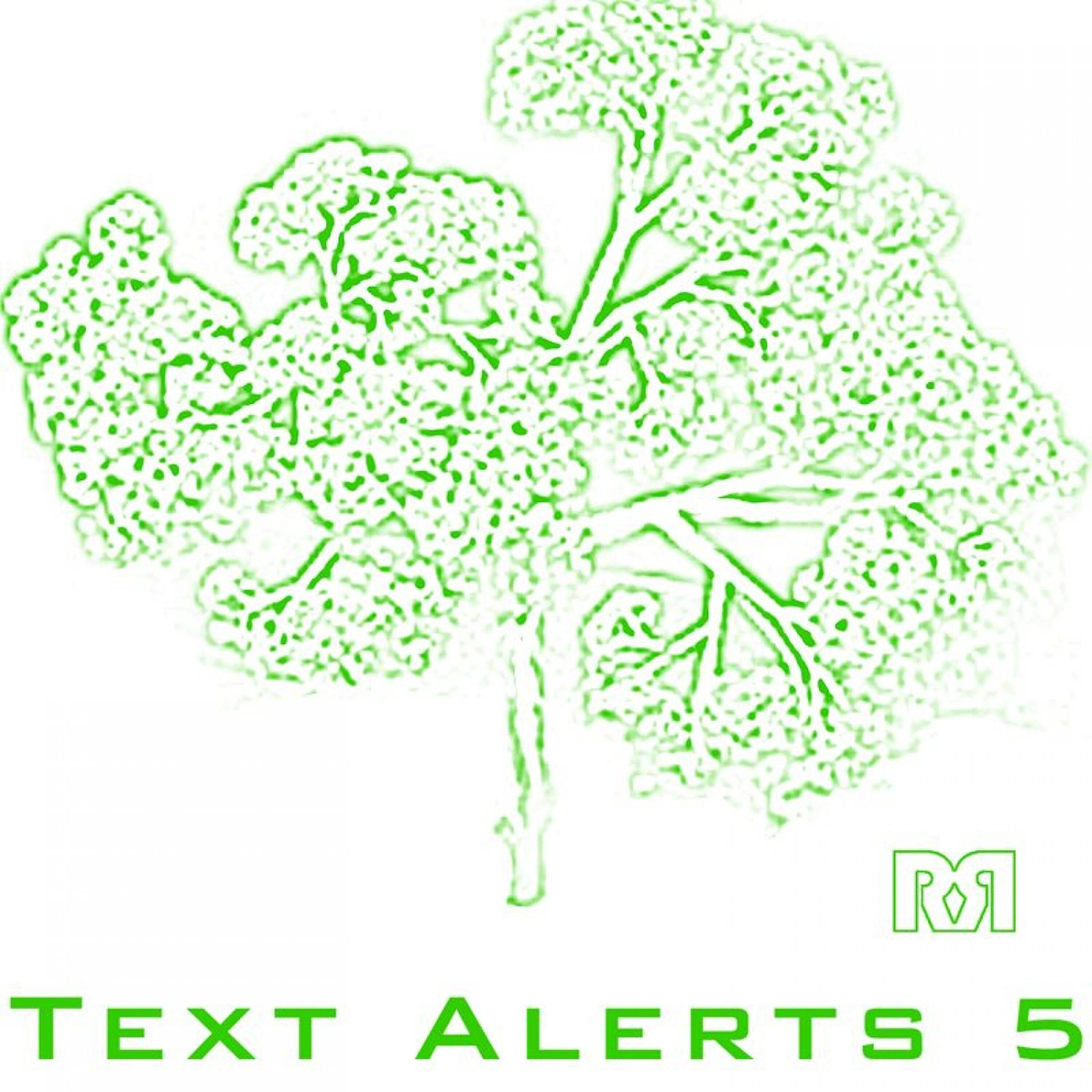 Ringtones By Ringtone Records - Distortion Text Ringtone (Tone and Text Alert)