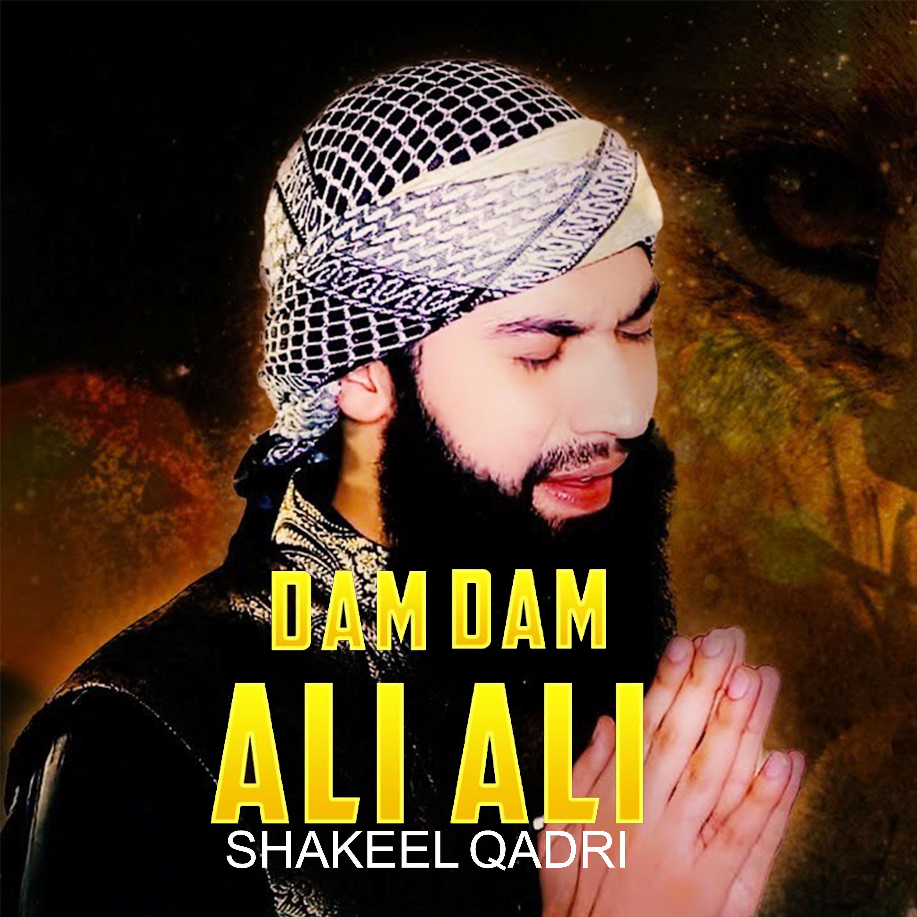 Постер альбома Dam Dam Ali Ali - Single