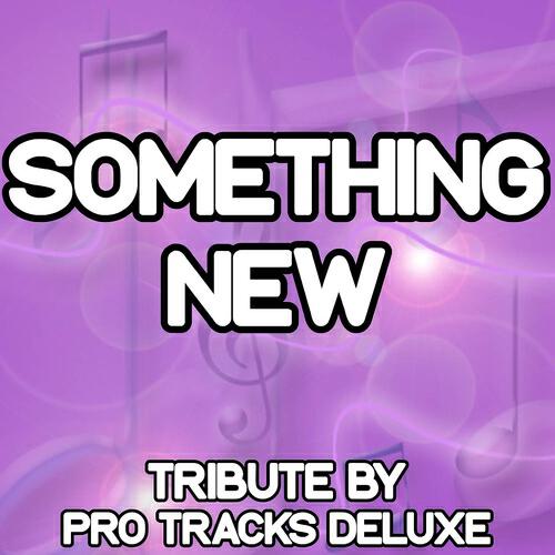 Pro Tracks Deluxe - Something New (Karaoke Version) (Originally Performed By Girls Aloud)