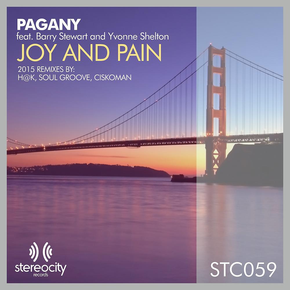 Постер альбома Joy & Pain (2015 Remixes)