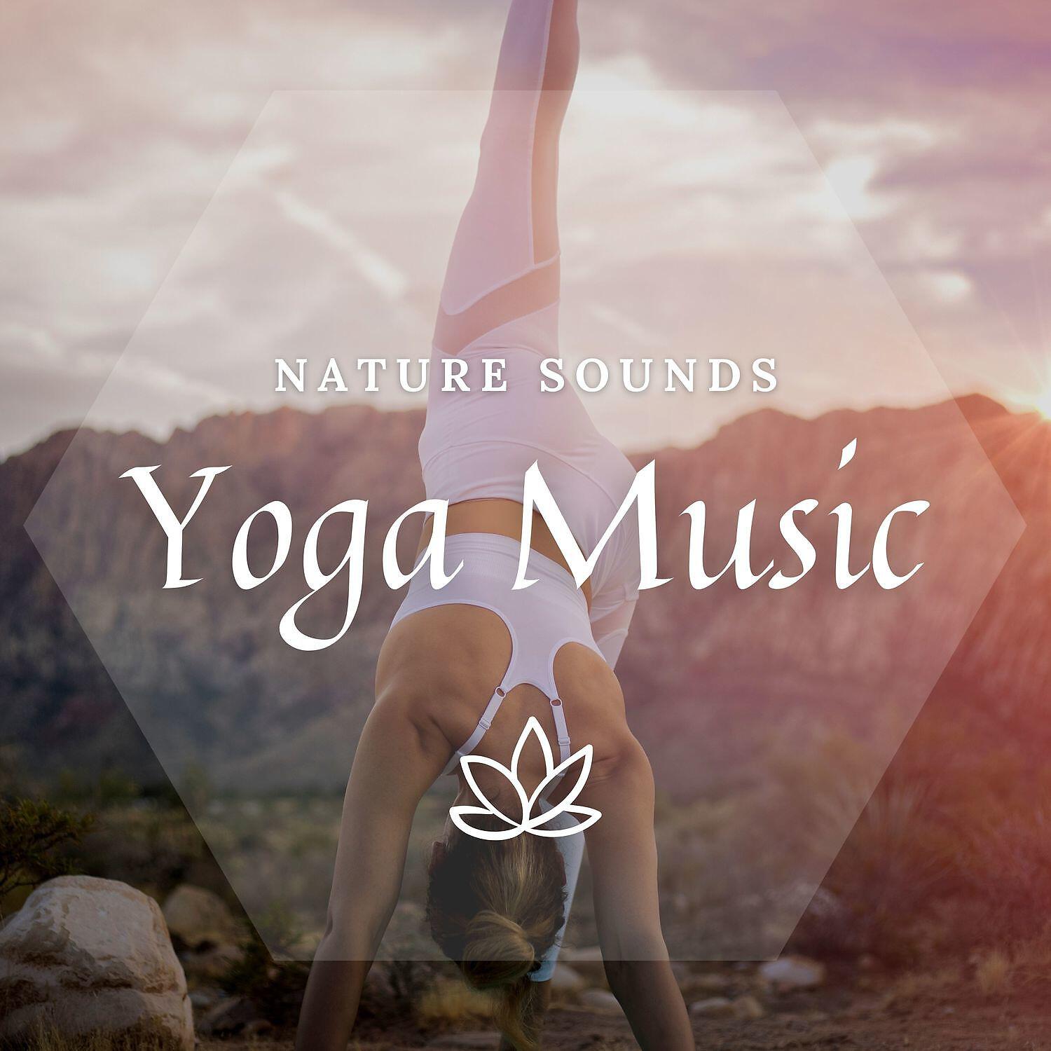 Meditway - Indian Flute (Night Sound)