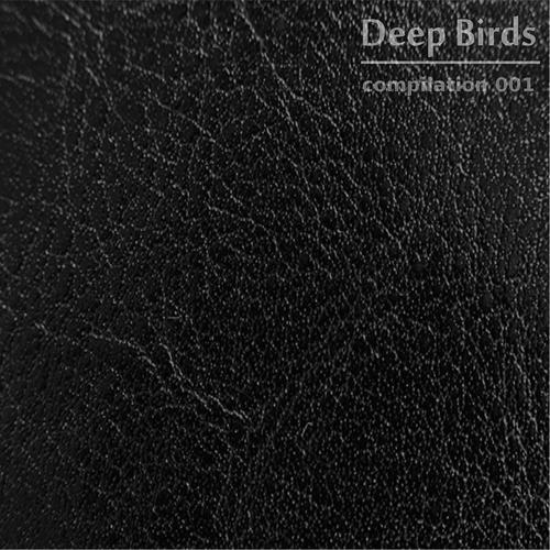 Постер альбома Deep Birds