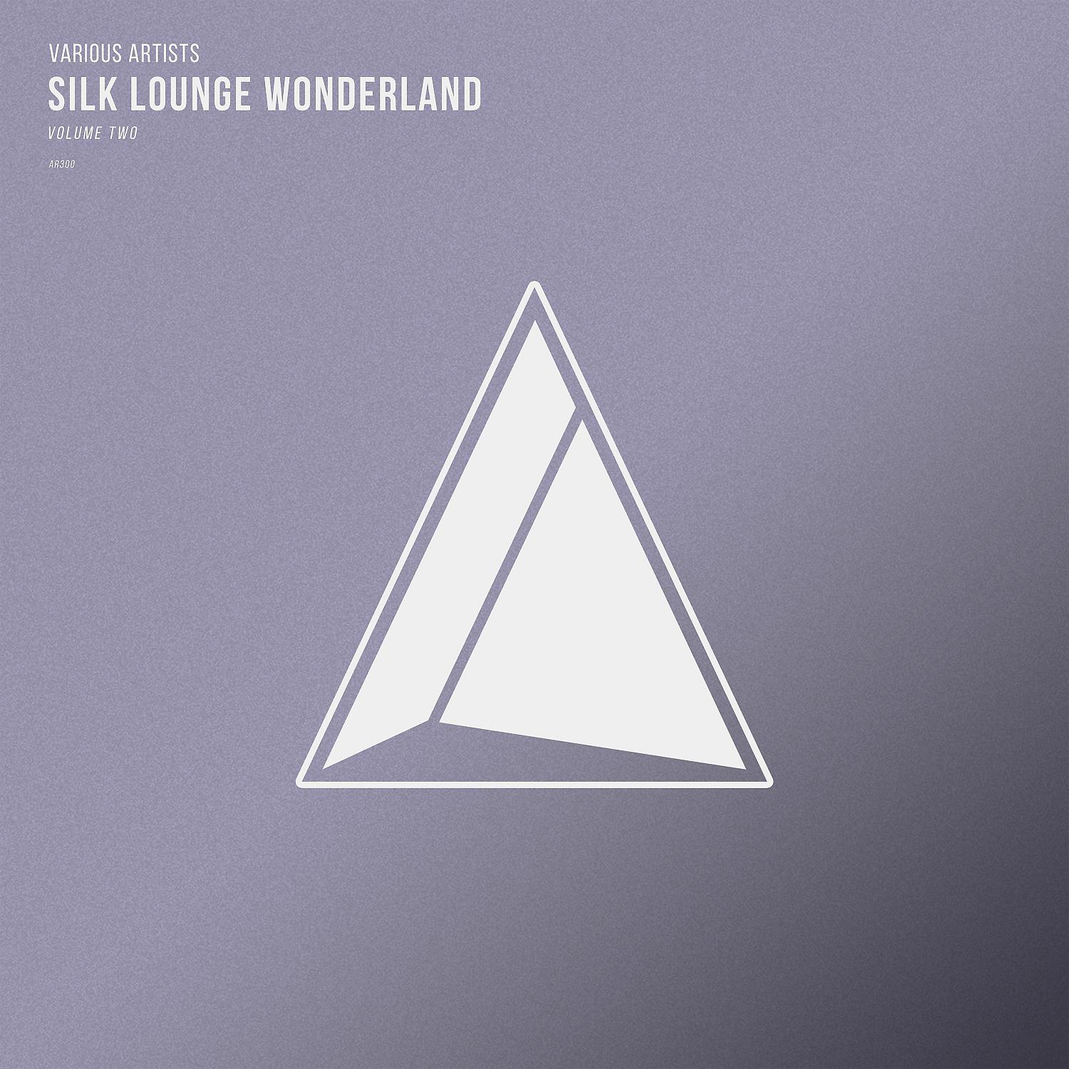 Постер альбома Silk Lounge Wonderland, Vol.02