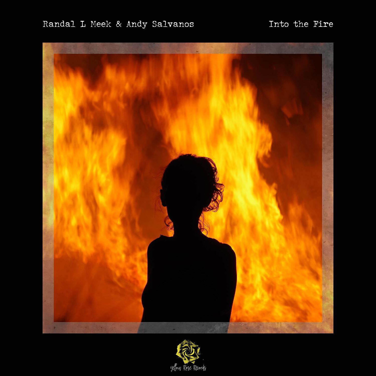 Randal L Meek - Into the Fire