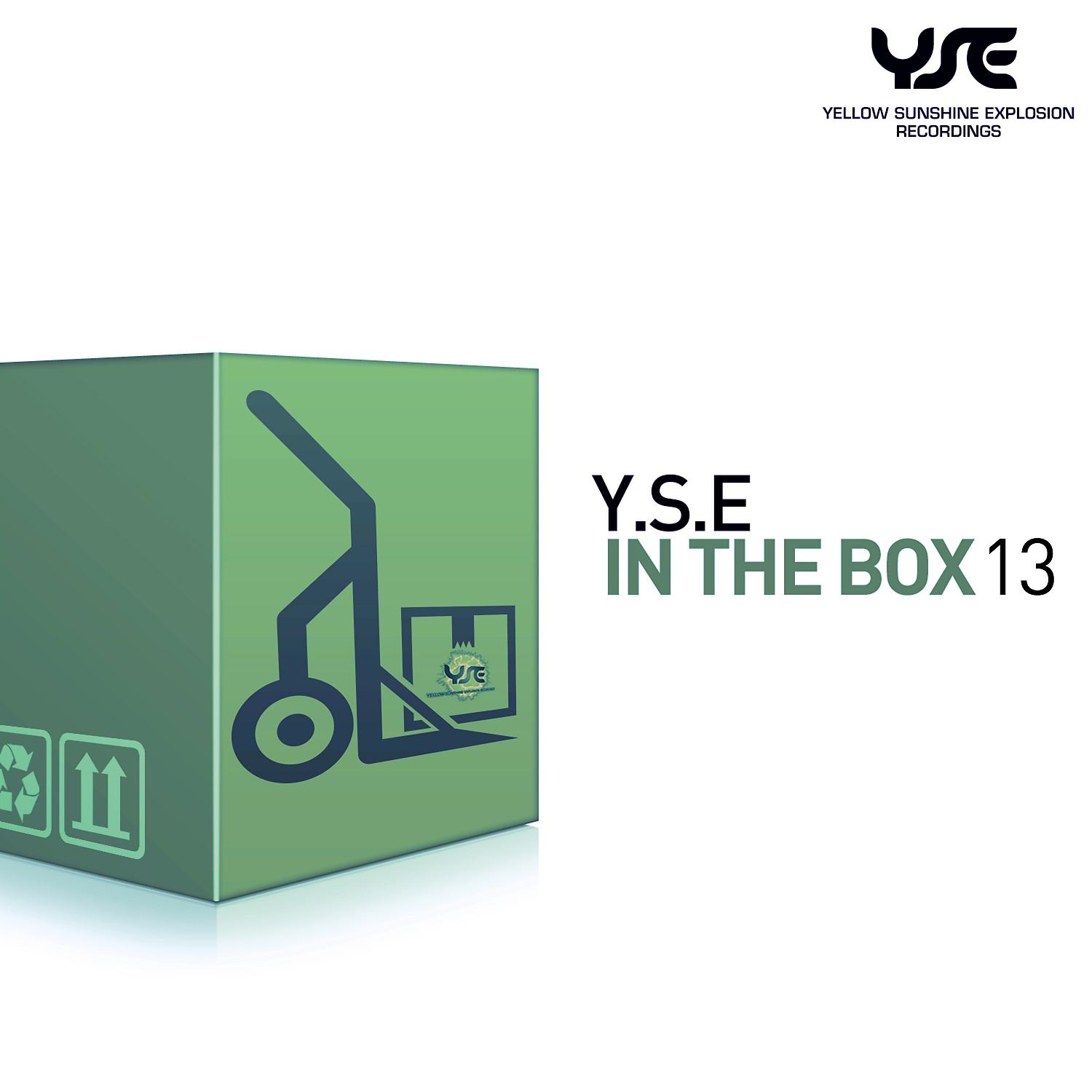 Постер альбома Y.S.E. in the Box, Vol. 13