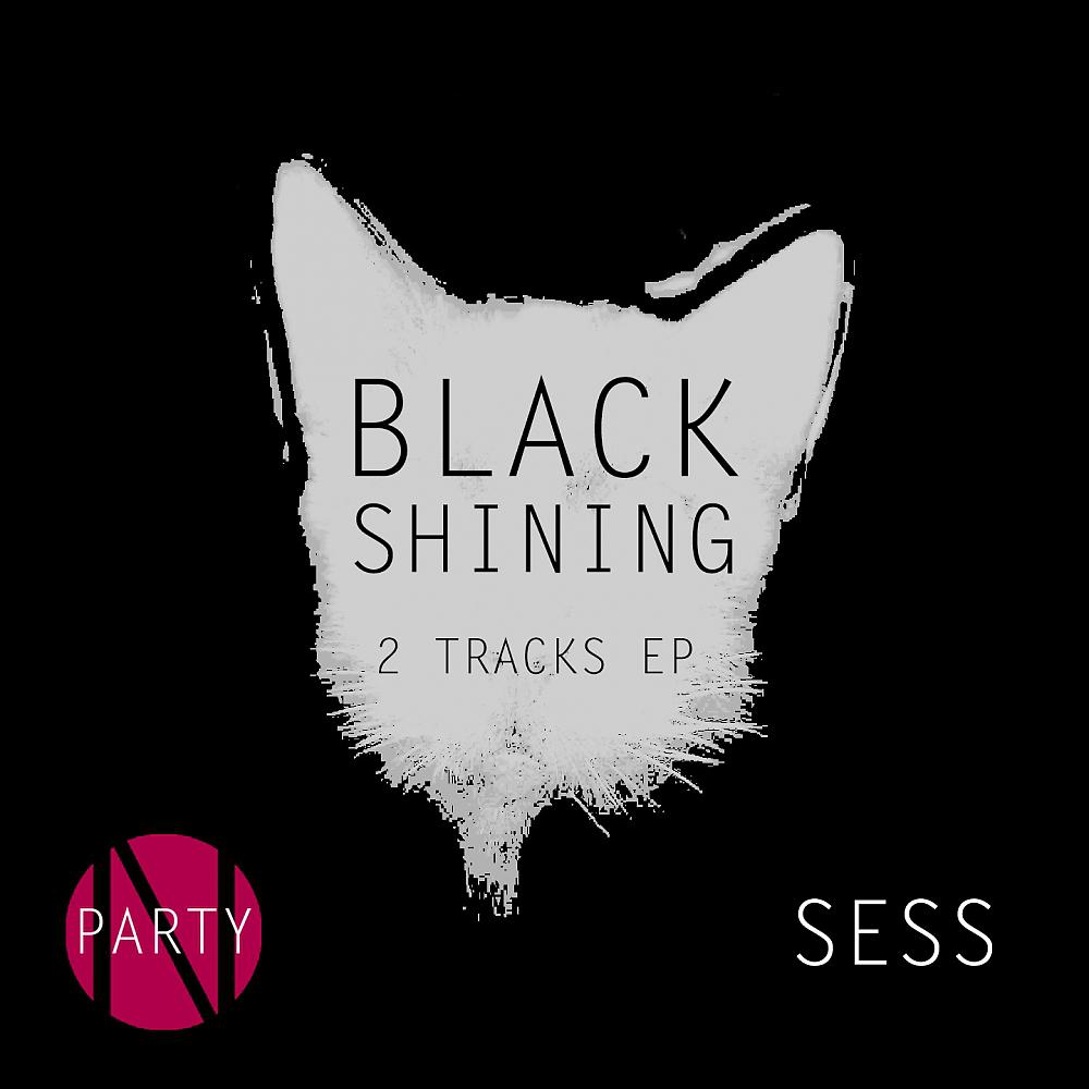 Постер альбома Black Shining EP