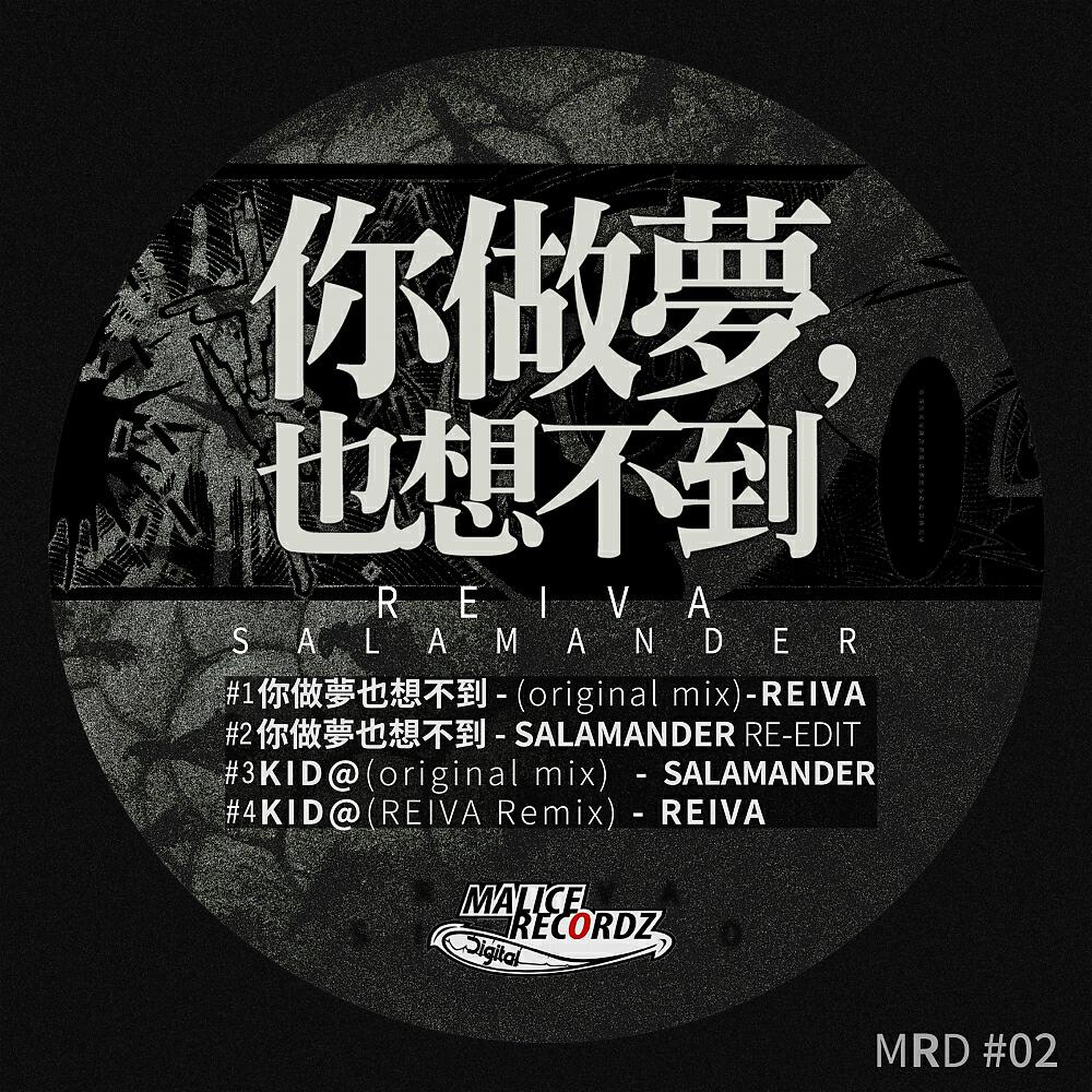 Reiva - Even In Dreams You Can't Imagine It (Salamender Remix)