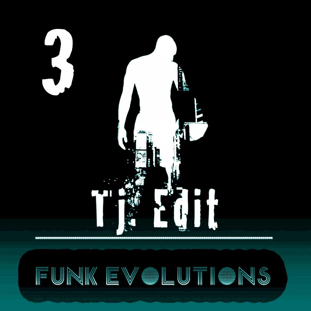 Постер альбома Funk Evolutions #3