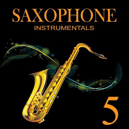 Постер альбома Best Sax Instrumentals, Vol. 5