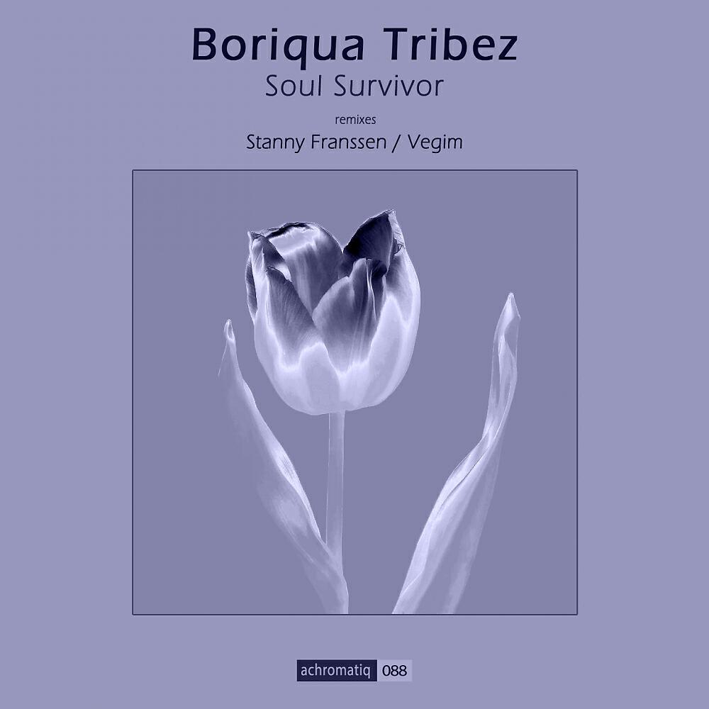 Boriqua Tribez - Toxic Light (Vegim Repaint)