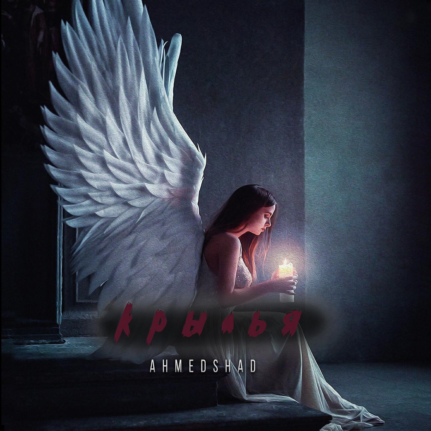 Ahmed Shad - Крылья