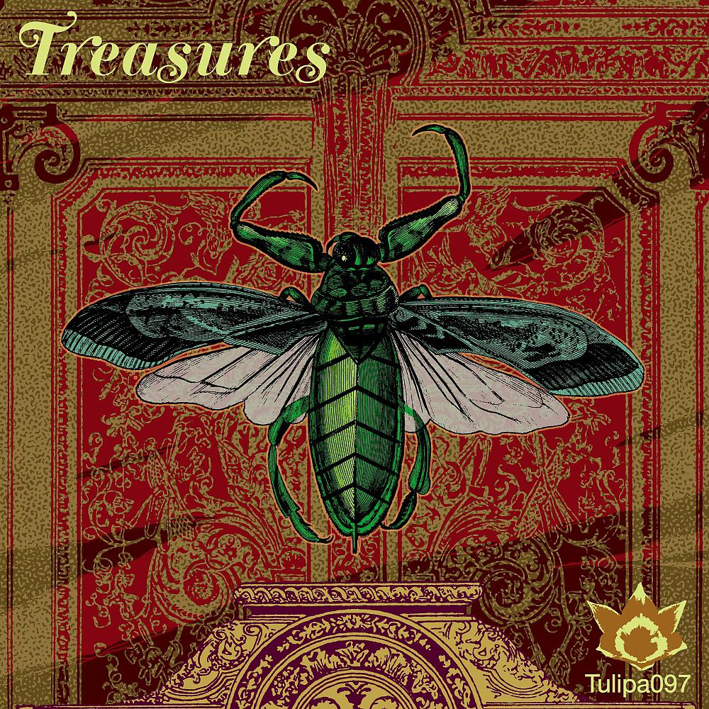 Постер альбома Treasures