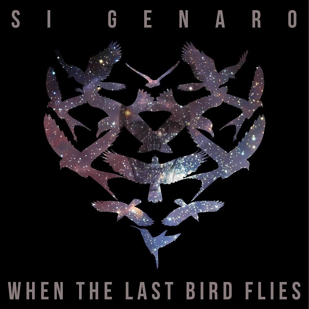 Постер альбома When The Last Bird Flies