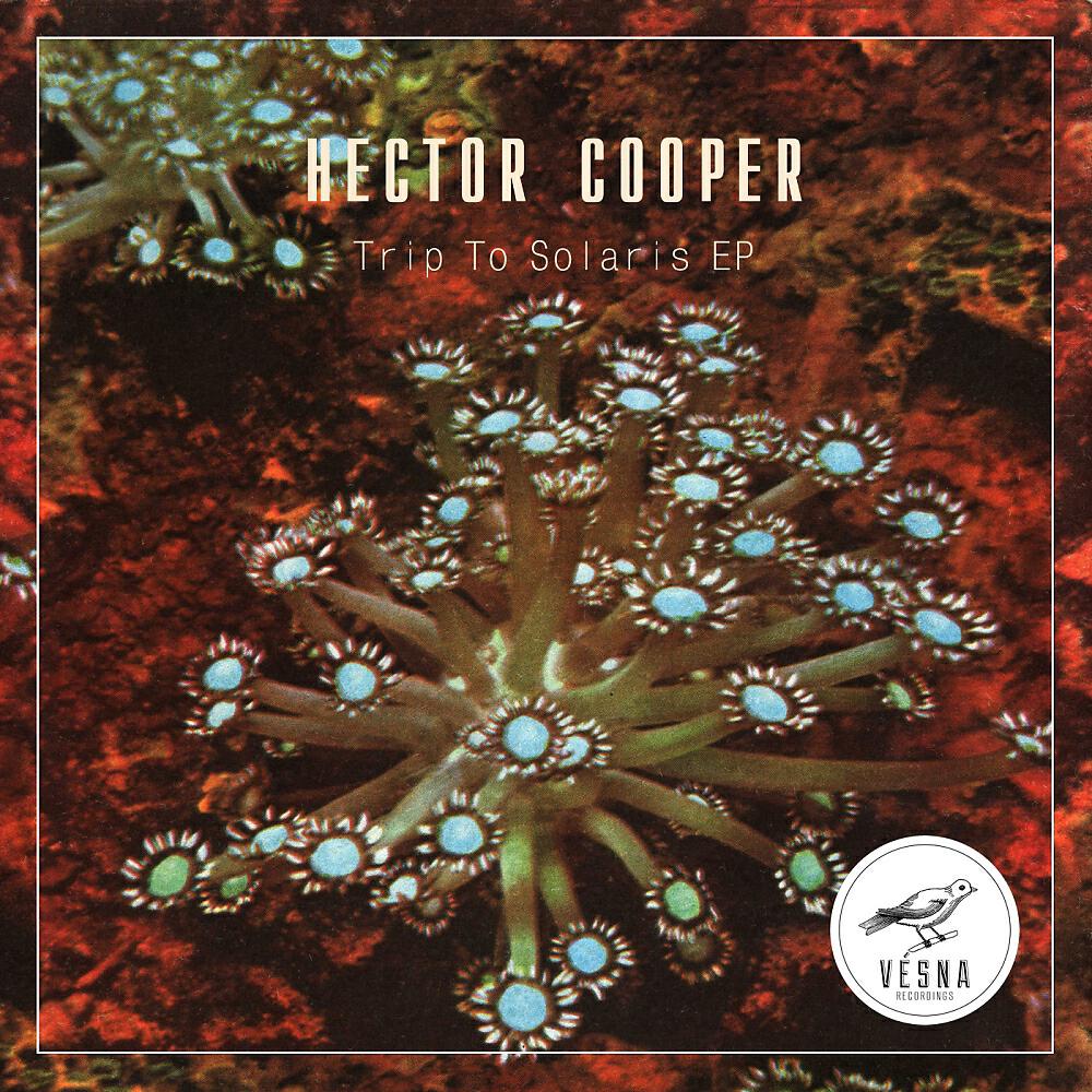 Hector Cooper - What To Do