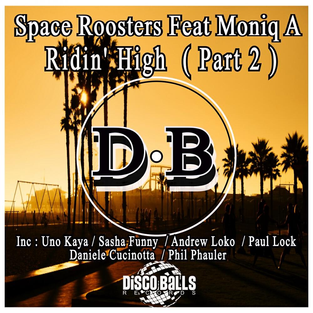 Space Roosters - Ridin' High (Andrew Loko Remix)