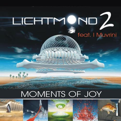 Постер альбома Moments of Joy