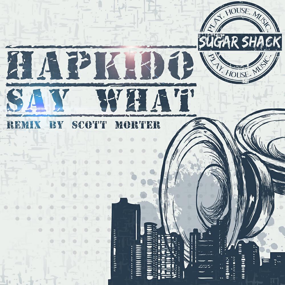 HapKido - Say What (Scott Morter's Medicine Mix)